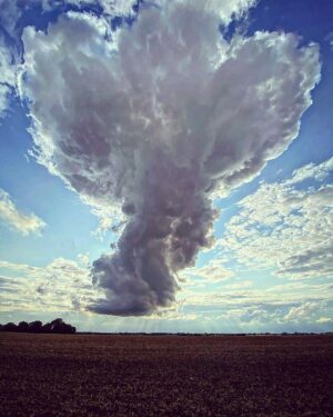 David Morrissey Instagram - Say what you see?