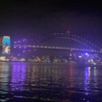 David Thewlis Instagram – Happy New Year from The Shame Wizard of Oz! Sydney Harbour Bridge. Sydney