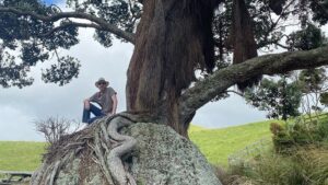 David Thewlis Instagram - Christmas Day is almost over for Hermine and I, so we’ll wish you a Maori Christmas and a Happy New Zealand