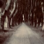 David Thewlis Instagram - And then this happened Aix-en-Provence, France