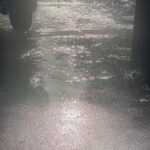 David Thewlis Instagram - I was sitting outside a cafe in Paris filming the sun reflected in this puddle when suddenly Dame Judi Dench walked by, and then incredibly, from the other direction came The Dalai Lama. They didn’t notice each other and neither of them saw me, but I saw it all and thought no one will ever believe this really happened.