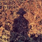 David Thewlis Instagram - Shadow of my former self spotted taking a walk without me Aix-en-Provence, France