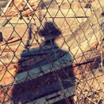 David Thewlis Instagram - Shadow of my former self spotted taking a walk without me Aix-en-Provence, France