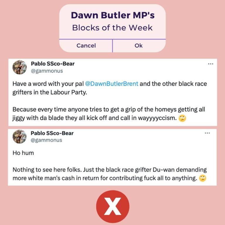 Dawn Butler Instagram - This weeks Block of the Week, comes from a serial online abuser. I've decided to highlight this racist, who continues to spread their lies on my timeline. Time to cleanse my mentions of idiots❌ #ButlerBlocks