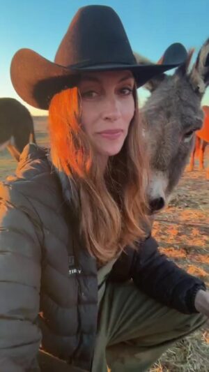 Dawn Olivieri Instagram - And now…what you have all been waiting for..the much anticipated LIVE-heard-round-the-world. 

Come with me on a tour through @roarsanctuary 

Thank you Jessica for opening up your gates for us amidst all the chaos. 

Rest easy ❤️All is well.