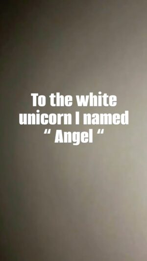 Dawn Olivieri Instagram - This one’s for “ANGEL”… shipped 2/6/2024