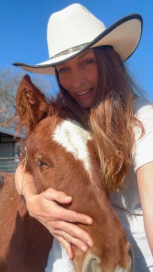 Dawn Olivieri Instagram - Today is a beautiful day. I want to spend it being grateful. This is an emotional support video compliments of handsome Little Don & Starr here to remind us (and me) that they found a safe landing because of our combined efforts. Not only did they survive the slaughter pipeline as babies, they also were pulled from the brink of illness that would have no doubt kept them from the lifetime of cuddles they are most definitely in store to receive. ❤️

When I want to remember how beautiful this life is…this is what I do❤️

My gratefulness practice

1. I’m grateful for my heart
2. This support
3. When a horse begins to trust
4. When a baby finds a wonderful home
5. When an easy breeze hits my face
6. Creek walk
7. Wild land
8. Full trust
9. Caring for animals
10. This beautiful life. 

I would love to read yours below if you would like to share this practice with me❤️

I’m also grateful for all our partnerships at @moon_mountain_sanctuary 

@purinafeedgreatness 
@tractorsupply 
@tarterusa 
@shelter_logic 
@equineeye_ 
@polarisaus 
@dickies