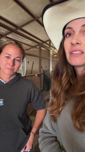 Dawn Olivieri Instagram - Sad news for Kevin❤️

But I’m So happy for him. But im also crying. It can be an odd mix of emotions when doing this work evidently by my laughing tears. I’m such a baby and really tried to deliver a happy message of letting go. Human emotions can be confusing but Im so lucky to have such wonderful hearts around me that make it ok to laugh and cry through even the saddest of circumstances. Love you all. And love you @camstoudt for laughing while crying alongside me in Honor of one sweet pony named Kevin bacon.