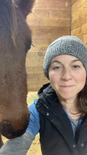 Dawn Olivieri Instagram - Bunny gets an update, her condition is still critical but baby steps in these cases are certainly causes for tiny celebrations. ❤️

#freeTheArabians