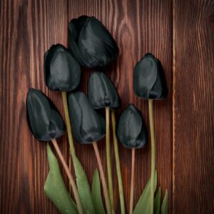 Dean R. Koontz Instagram - Q: Is spring your favorite season? 
A: No. It lasts 94 days. Summer is 92, autumn 90, & winter 89. Spring is TEDIOUS.