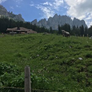 Deanna Yusoff Instagram - Beautiful but challenging hike up to the Soldat Chalet at the foot of the Gastlosen. Absolutely breathtaking!  Had to treat myself to a local dessert, coffee and double cream. 😜

#gastlosen 
#switzerland 
#hike
#chaletdusoldat 
#summer 
#fribourg 
#bern 
#mountains🗻 
#swissalps 
#cow 
#vincuit 
#doublecremedegruyere 
#nature 
#postcard 
#deannatravels 
#ysbh 
#travel 
#actress 
#model
#singer
#emcee