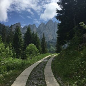 Deanna Yusoff Instagram - Beautiful but challenging hike up to the Soldat Chalet at the foot of the Gastlosen. Absolutely breathtaking!  Had to treat myself to a local dessert, coffee and double cream. 😜

#gastlosen 
#switzerland 
#hike
#chaletdusoldat 
#summer 
#fribourg 
#bern 
#mountains🗻 
#swissalps 
#cow 
#vincuit 
#doublecremedegruyere 
#nature 
#postcard 
#deannatravels 
#ysbh 
#travel 
#actress 
#model
#singer
#emcee