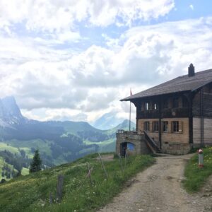 Deanna Yusoff Instagram - Beautiful but challenging hike up to the Soldat Chalet at the foot of the Gastlosen. Absolutely breathtaking!  Had to treat myself to a local dessert, coffee and double cream. 😜

#gastlosen 
#switzerland 
#hike
#chaletdusoldat 
#summer 
#fribourg 
#bern 
#mountains🗻 
#swissalps 
#cow 
#vincuit 
#doublecremedegruyere 
#nature 
#postcard 
#deannatravels 
#ysbh 
#travel 
#actress 
#model
#singer
#emcee