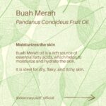 Deanna Yusoff Instagram – Hey there! I’m super excited to share that I’ll be using Buah Merah as a carrier oil in my upcoming product launch. I’m really loving the amazing color it brings, and it’s already inspiring some ideas for future formulations too. I can’t wait to share more about my new product with you, but please bear with me – I believe that good things come to those who wait for the right time.

Buah Merah, also known as Pandanus Conoideus or Red Fruit Oil, is a type of oil that is extracted from the fruit of the Pandanus Conoideus tree. The plant is native to Papua, Indonesia, and is commonly found in the Pacific Islands, including Fiji, Vanuatu, and the Solomon Islands.

The oil from the Buah Merah is typically extracted using cold-pressing or expeller-pressing methods. Cold-pressing involves using a hydraulic press to extract the oil from the fruit without the use of heat. This method helps to retain the oil’s natural nutrients and antioxidants, making it ideal for use in skincare products.

Expeller-pressing, on the other hand, involves using a mechanical press to extract the oil from the fruit. This method applies heat and pressure to the fruit, which can alter the oil’s chemical composition and reduce its natural nutrients.

After the oil is extracted, it is then filtered and refined to remove any impurities, resulting in a pure and high-quality oil that can be used in skincare products.
It is worth noting that the extraction process can vary depending on the manufacturer and the equipment used. Therefore, it is essential to choose a reputable brand that uses high-quality extraction methods to ensure that you get the best quality oil.

Apart from its use in skincare, Buah Merah oil is also used in traditional medicine to treat various ailments, including digestive issues and respiratory problems. Additionally, the oil is also used as a natural food coloring in some traditional dishes in Papua.

Have you heard of this ingredient before? I would love to hear about your experience with it, so please let me know!

#buahmerah #ingredient #carrieroil #formulation #naturalskincare