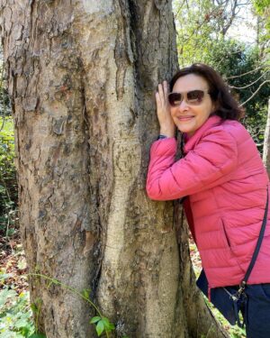 Deanna Yusoff Instagram - Have you ever hugged a tree? 

I felt restless from all the moving around and needed some grounding. 
I love being in nature and usually turn to it to recharge. 

Hug a tree, sit with it, feel the energy transfer, smile and don’t forget to thank it. 

Tehna um bom dia ❤️

#recharge 
#discharge 
#nature
#tree
#health 
#metime 
#travel 
#deannatravels