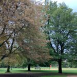 Debra Winger Instagram - cusp o’ fall Central Park