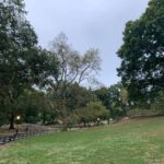 Debra Winger Instagram - cusp o’ fall Central Park