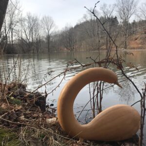 Debra Winger Instagram - ...returning to their natural habitat for a realistic 2019 #butternutsquash #swallowtails