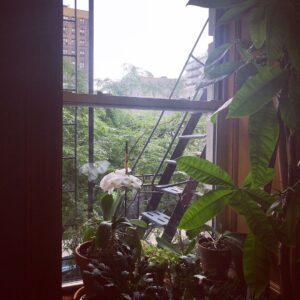 Debra Winger Instagram - just happy to be almost home ( almost)