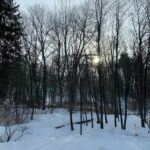 Debra Winger Instagram - it has been a dark and various winter. This is the first sunrise seen in weeks. There have been snowed-in days; friends in trouble; friends that give of themselves; films that 'dropped' in a virtual world; projects that haven't gotten finished - people that are trying to do their best amidst the distant noise and present isolation.. I bow to all of it, in front of all of it.. I try every morning to include it all in the tapestry. Expand within this Now. Hello Tuesday. Goodbye to some dear friends and to Lawrence Ferlinghetti - Come on March ( the cruelest) : show me what ya got. Give a small bit of what you've got to a good cause. One is @miles4migrants