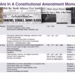 Debra Winger Instagram - We are in a movement but within that movement is a moment : a constitutional moment. Your vote only counts if they didn’t buy it! #AmericanPromise #28thAmendment #getmoneyout #americanpromiseusa