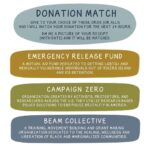 Debra Winger Instagram - UPDATE: Thank you so much to everyone who contributed to this match — we raised over 4K! Keep donating, supporting, learning, listening — whatever you can. There is and will be more work to do. ******** Today I will match your donations to these orgs-@emergency_release_fund @campaignzero @_beamorg DM me your receipts — any amount counts...Money isn’t the only way to help, but if you can spare it, it’s a necessary start #blacklivesmatter
