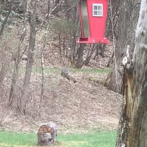 Debra Winger Instagram - 4/21/21 : I wanted to write about how I dreaded the winter last year - the same way I am resisting the Spring.  But it occurs to me that although these are seasonally correct as emotions that I often feel living where I do, and somewhat interesting to note in that they are timeless in Nature: NOW is always different.  Now the dread and the resistance are reflected in the NEWs each and every freakin day.  I do dread hearing it - for every conviction, how many deaths by police?  I will RESIST for as long as it takes and pass it on.  We are here to do something.  THIS IS EXHAUSTING OUR GOOD ENERGY.  My hair's on fire and the Spring is meant to Awaken.  Prayers out to all who are exhausted and confused by what to do.  Be of Love.  #resist #awaken #blacklivesmatter #reparations (barn on fire painting by #tedkooser )