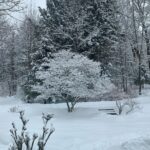 Debra Winger Instagram - it has been a dark and various winter. This is the first sunrise seen in weeks. There have been snowed-in days; friends in trouble; friends that give of themselves; films that 'dropped' in a virtual world; projects that haven't gotten finished - people that are trying to do their best amidst the distant noise and present isolation.. I bow to all of it, in front of all of it.. I try every morning to include it all in the tapestry. Expand within this Now. Hello Tuesday. Goodbye to some dear friends and to Lawrence Ferlinghetti - Come on March ( the cruelest) : show me what ya got. Give a small bit of what you've got to a good cause. One is @miles4migrants