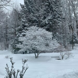 Debra Winger Instagram - it has been a dark and various winter.  This is the first sunrise seen in weeks. There have been snowed-in days; friends in trouble; friends that give of themselves; films that 'dropped' in a virtual world; projects that haven't gotten finished - people that are trying to do their best amidst the distant noise and present isolation.. I bow to all of it, in front of all of it.. I try every morning to include it all in the tapestry.  Expand within this Now. Hello Tuesday.  Goodbye to some dear friends and to Lawrence Ferlinghetti - Come on March ( the cruelest) : show me what ya got.  Give a small bit of what you've got to a good cause. One is @miles4migrants
