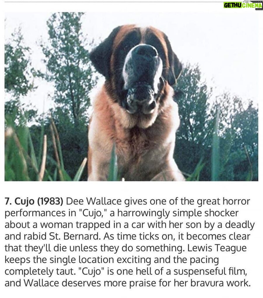 Dee Wallace Instagram - Honored that #cujo made # 7 of the best #stephenking films. Who’s watching this October? 🐶🎃👻