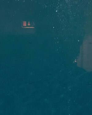 Dempsey Bryk Instagram - got to combine my passions of scuba diving, acting, and looking at James Bond on a Zodiac boat