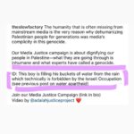 Denée Benton Instagram - I bought this stunning photograph from a beautiful action I just learned about: Prints for @thepcrf . 100% of the proceeds will go to the Pa*estine Children’s Relief Fund. It ends on 11/20 so don’t put it off :) Link is in my bio 🍉. This image feels like home 🌴🐊 Print by D’Angelo Lovell Williams #ceasefirenow