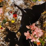 Denée Benton Instagram - I bought this stunning photograph from a beautiful action I just learned about: Prints for @thepcrf . 100% of the proceeds will go to the Pa*estine Children’s Relief Fund. It ends on 11/20 so don’t put it off :) Link is in my bio 🍉. This image feels like home 🌴🐊 Print by D’Angelo Lovell Williams #ceasefirenow