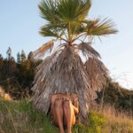 Denée Benton Instagram - I bought this stunning photograph from a beautiful action I just learned about: Prints for @thepcrf . 100% of the proceeds will go to the Pa*estine Children’s Relief Fund. It ends on 11/20 so don’t put it off :) Link is in my bio 🍉. This image feels like home 🌴🐊 Print by D’Angelo Lovell Williams #ceasefirenow