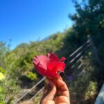Denée Benton Instagram -