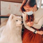 Denise Soong Ee Lyn Instagram – location below ⬇️
happiest day of my life 🥹🥹🥹 at | 📍Gyeoul’s House, Samoyed Cafe
