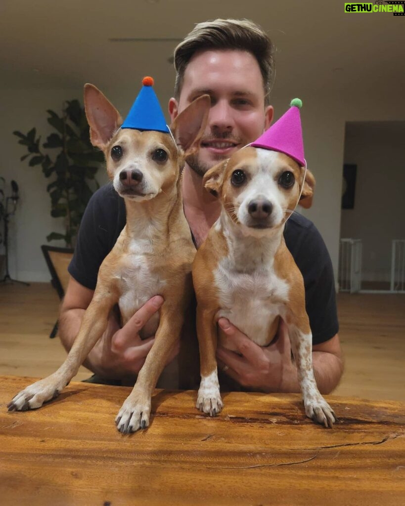 Dennis Jauch Instagram - Happy Birthday 🎂 To my 2 wonderful spirits Forest & Lily. I can't believe they have been with us for 9 years now 😭