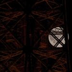 Derek Muller Instagram - Beware American Werewolves in Paris #eiffeltower Paris, France