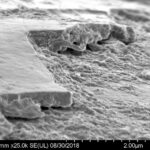 Derek Muller Instagram - This is MY hair, swipe to zoom in. Goop in first shot is hair product. I never thought I would see my hair this close up but thanks to the scientists at @headandshoulderseu I did - as part of my new video they pulled my hair and put it under an electron microscope! Check out the new vid about the fungus on your head: ve42.co #sponsored #headandshoulders