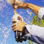 Derek Muller Instagram - #Ad Why do shaken carbonated drinks explode? That's one of three perplexing physics problems in my new video sponsored by @squarespace space Go to https://squarespace.com to save 10% off your first purchase of a website or domain using code: VERITASIUM