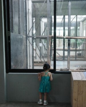 Devi Kinal Putri Instagram - ceritanya kebun binatang saat tidak hujan.
jadi bukan tempat rahasia
jalan-jalannya tapi tetep sambil berpegang tangan.
🩷🩷🩷🩷