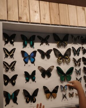 Devi Kinal Putri Instagram - ceritanya kebun binatang saat tidak hujan.
jadi bukan tempat rahasia
jalan-jalannya tapi tetep sambil berpegang tangan.
🩷🩷🩷🩷