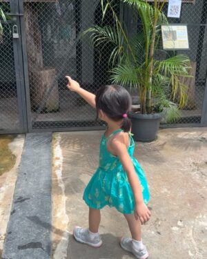 Devi Kinal Putri Instagram - ceritanya kebun binatang saat tidak hujan.
jadi bukan tempat rahasia
jalan-jalannya tapi tetep sambil berpegang tangan.
🩷🩷🩷🩷