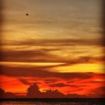 Dhanya Ananya Instagram - the sunsets that were borrowed have all been put back … 🥀