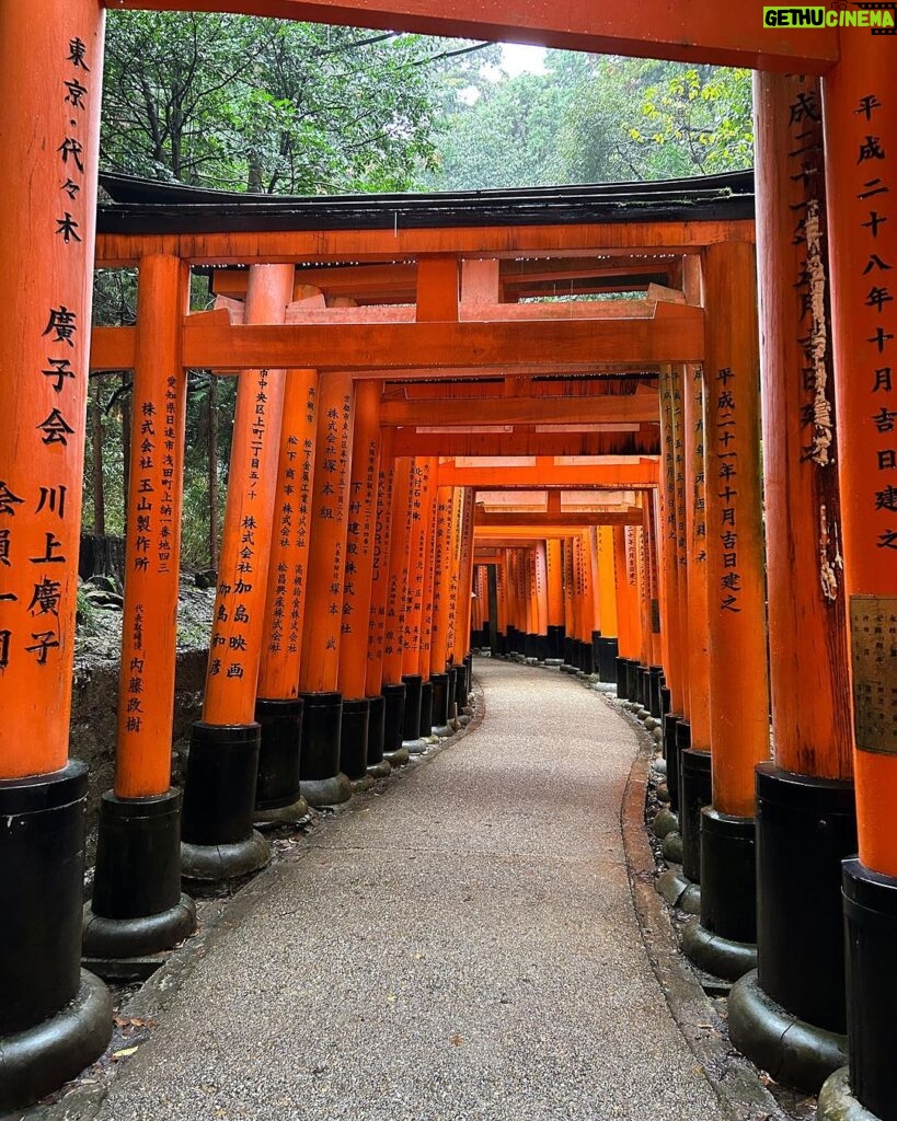 Dia Frampton Instagram - Japan Photo Dump: Part III: The Reckoning❤️🇯🇵❤️ Hakone was perhaps my favorite stop on this trip. A gorgeous little mountain town, popular for their onsen. (Japanese hot springs). Random fact: If you have tattoos, many spots will not let you use the public hot springs, where yes, you are fully nude. Some do, but most don't. However, if you have tattoos, some locations have private baths that you can reserve. Kyoto, you inspire me. I dreamt up many meet cutes for future screenplays that dance in my head. I come home, eager to write. Nara, I am so glad that I didn't skip you. What a magical town you are. I fed deer, visited holy places, and people watched. Japan feels safe. A place where everyone looks after each other. A small community of millions. I am so grateful you allowed me to come to your country and take in the smells, the sights, the generous people, the food, and the art. Thank you. 🇯🇵❤️