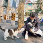 Diane Lin Instagram - 上海的貓咪，這一秒撒嬌，下一秒頭也不回走掉。 我：貓咪最近都會理我，不知道是不是因為他們知道我是貓咪教母的好朋友。 貓咪教母：他們本來就喜歡妳，只是妳沒有發現。 貓咪教母： @wan_ting_3 貓咪教母的貓咪保姆服務： @guzihu2 出門在外，貓咪交給貓咪教母真安心🐈
