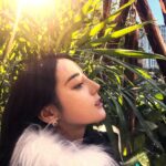Dilraba Dilmurat Instagram - 行，别催了，都看到了，大哥来了🙂
