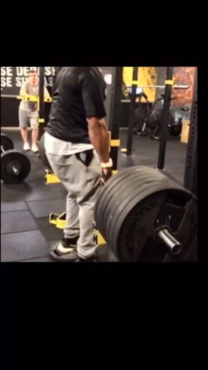 Dimitri Delavegas Instagram - Petite vidéo de mes exos préfère qui mon permis de construire la muraille bro.....
@guerrier_d_or 
@amixfrancenutrition 
➖➖➖➖➖➖➖➖➖➖➖
#body #musculation #fitness #mensphysique #back #backworkout 
#full #guerrierdor #toutestbon