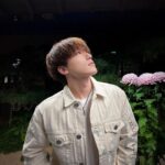 Dino Instagram -