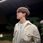 Dino Instagram -